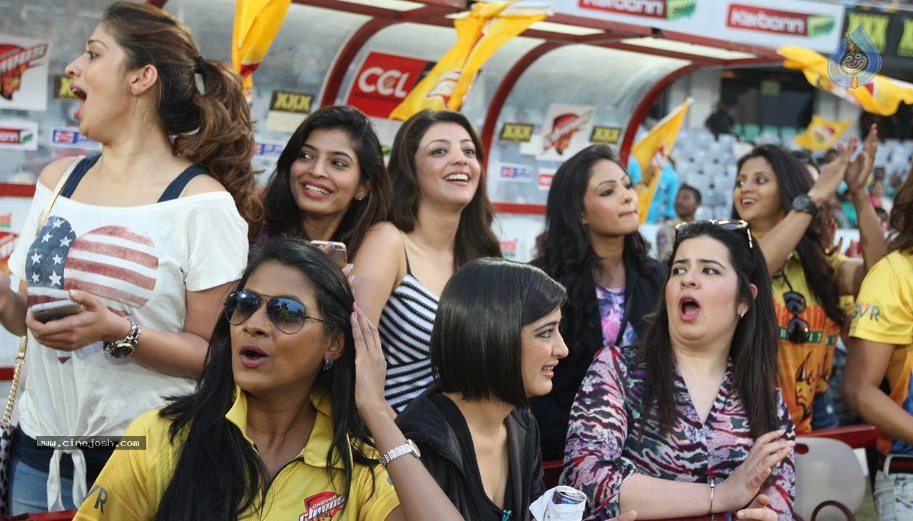 Chennai Rhinos Vs Karnataka Bulldozers Match Photos - 44 / 150 photos