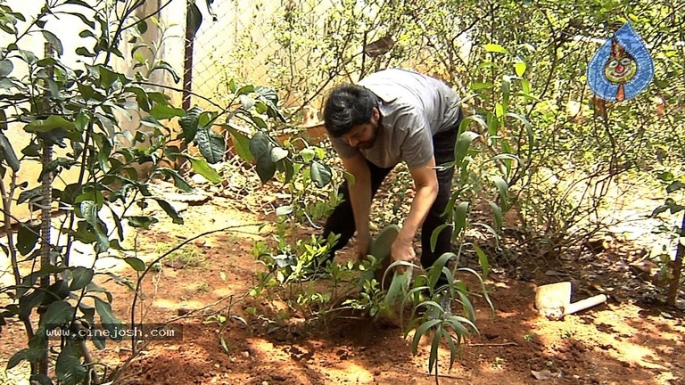 Chiranjeevi Accepts Haritha Haram Challenge - 8 / 9 photos