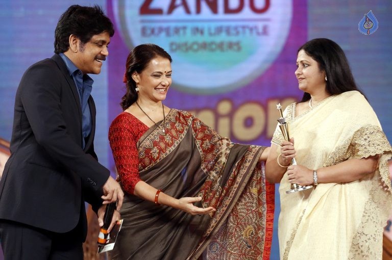Cine MAA Awards 2015 Photos 1 - 18 / 86 photos