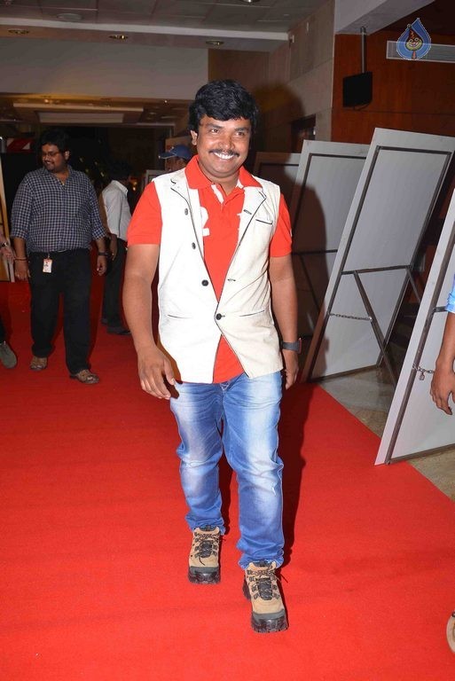 CineMAA awards 2015 Red Carpet - 73 / 89 photos