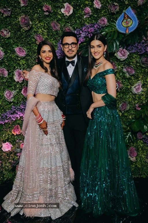 Dinesh Vijan And Pramita Tanwar Wedding Reception - 5 / 20 photos