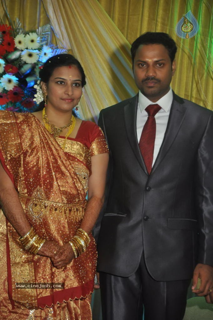 Director Senthinathan Son Wedding Reception - 15 / 63 photos