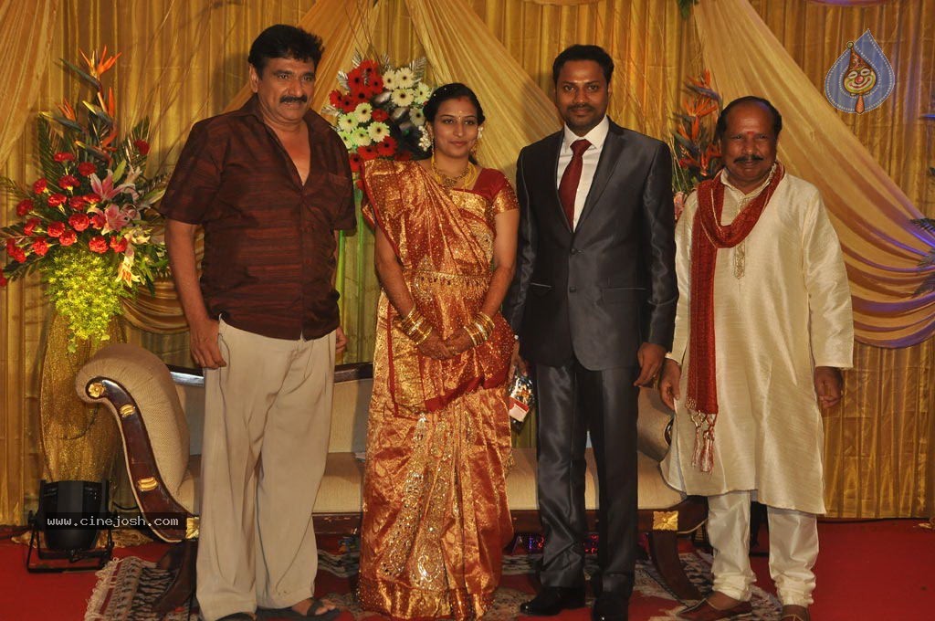 Director Senthinathan Son Wedding Reception - 30 / 63 photos