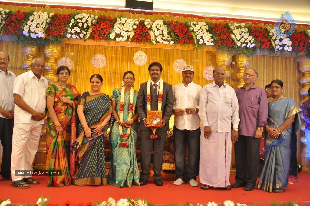 Director SP Muthuraman Family Wedding Reception - 35 / 69 photos