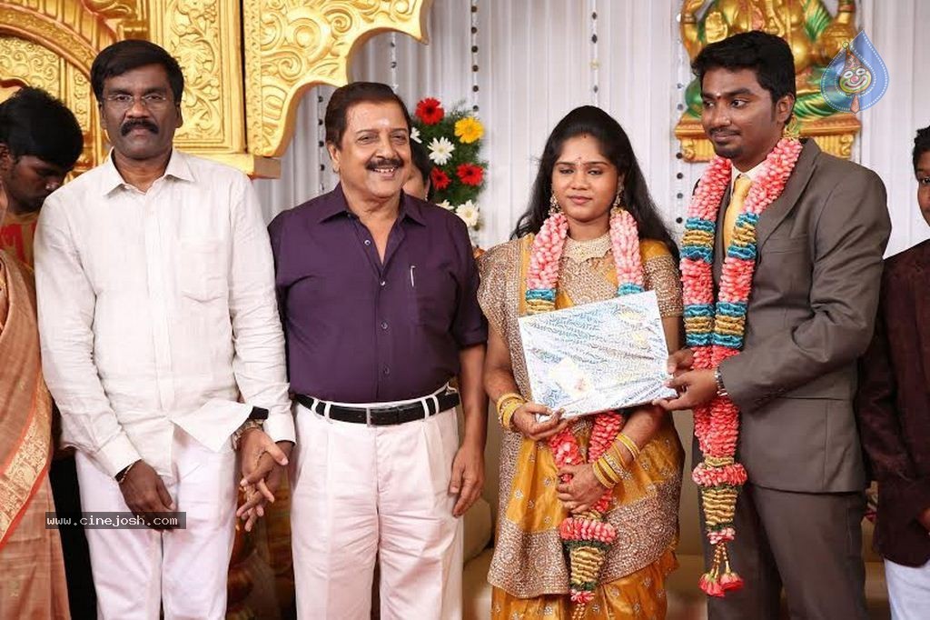 DOP Priyan Daughter Wedding Reception - 11 / 46 photos