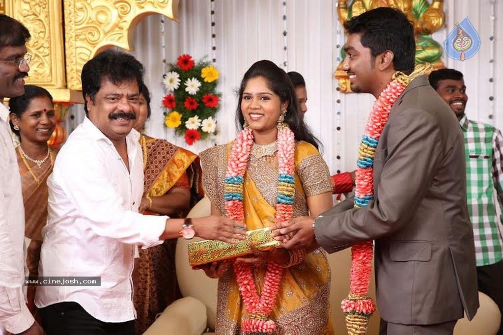 DOP Priyan Daughter Wedding Reception - 20 / 46 photos