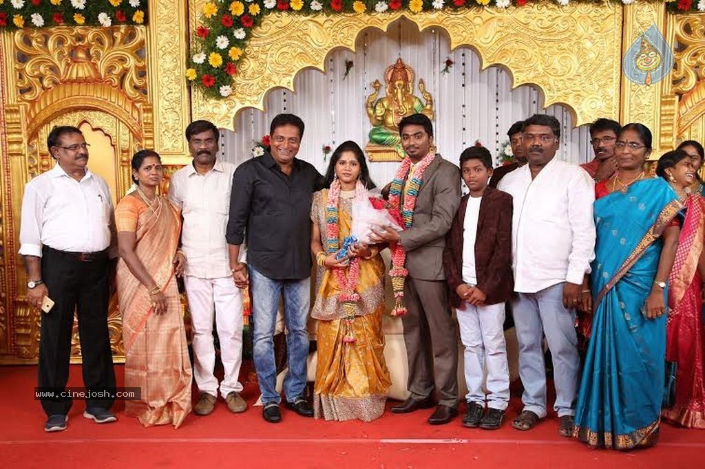 DOP Priyan Daughter Wedding Reception - 30 / 46 photos