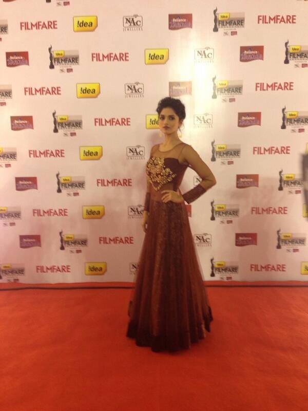 Filmfare Awards 2013 Photos - 1 / 94 photos