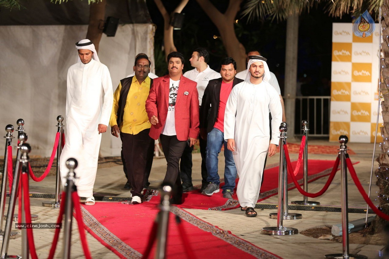 Gama Tollywood Music Awards 2014 - 31 / 150 photos