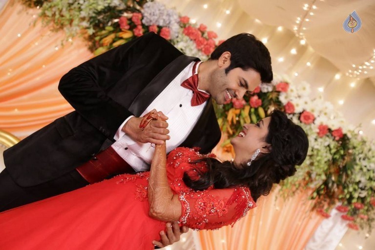 Ganesh Venkatraman - Nisha Wedding Reception - 36 / 79 photos