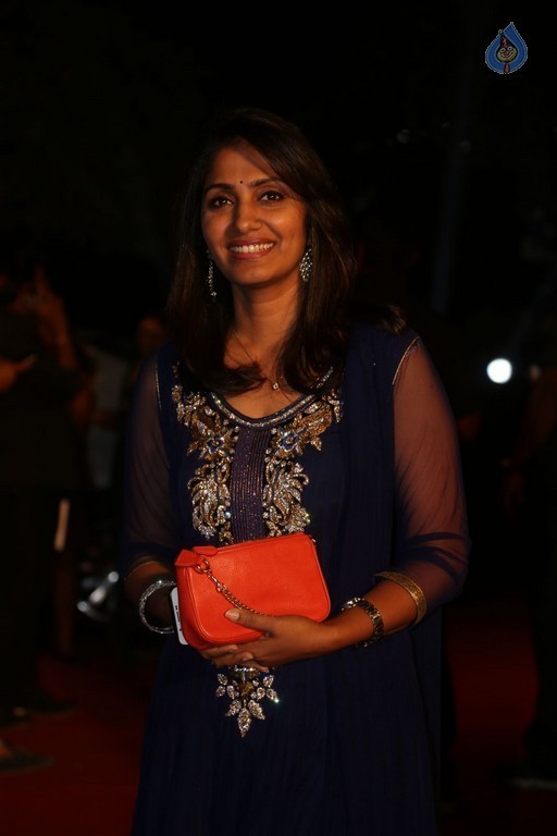 Gemini TV Puraskaralu 2016 Red Carpet 1 - 23 / 84 photos