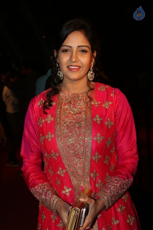 Gemini TV Puraskaralu 2016 Red Carpet 1 - 33 / 84 photos
