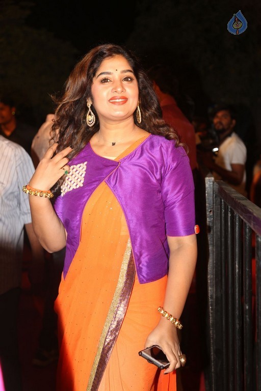 Gemini TV Puraskaralu 2016 Red Carpet 1 - 34 / 84 photos
