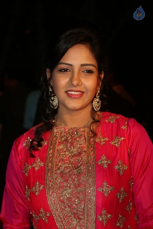 Gemini TV Puraskaralu 2016 Red Carpet 1 - 46 / 84 photos