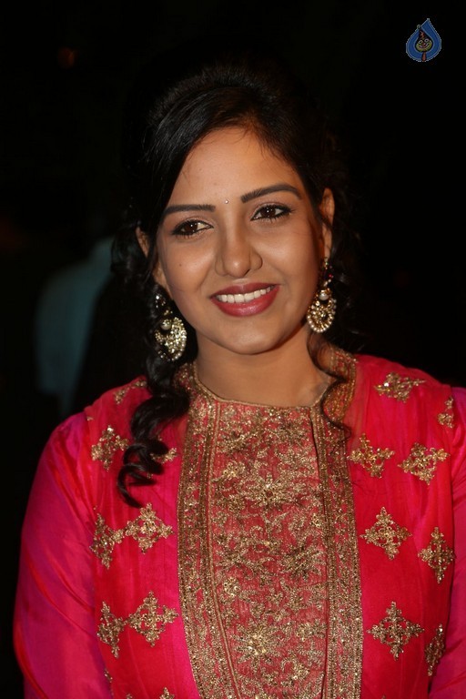 Gemini TV Puraskaralu 2016 Red Carpet 1 - 64 / 84 photos