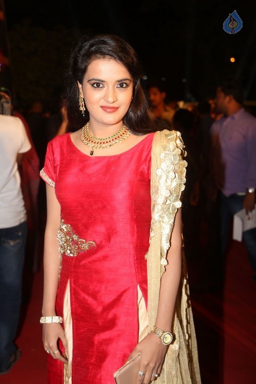 Gemini TV Puraskaralu 2016 Red Carpet 1 - 66 / 84 photos