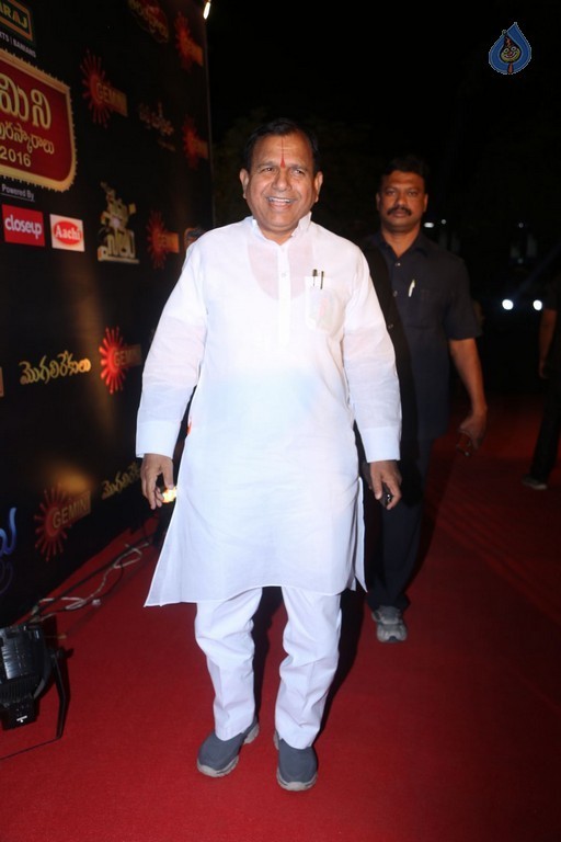 Gemini TV Puraskaralu 2016 Red Carpet 1 - 69 / 84 photos