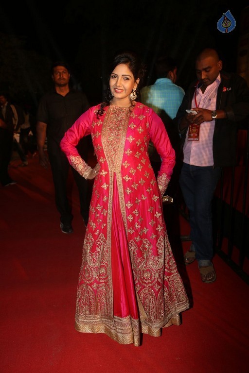 Gemini TV Puraskaralu 2016 Red Carpet 1 - 81 / 84 photos