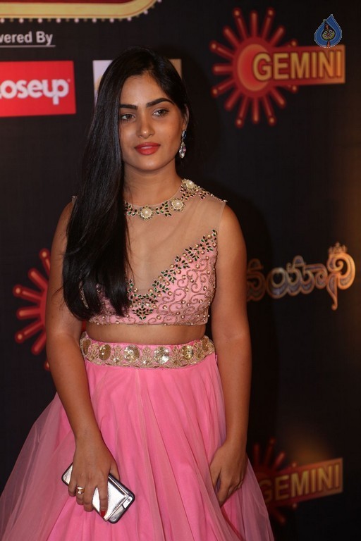 Gemini TV Puraskaralu 2016 Red Carpet 2 - 48 / 62 photos
