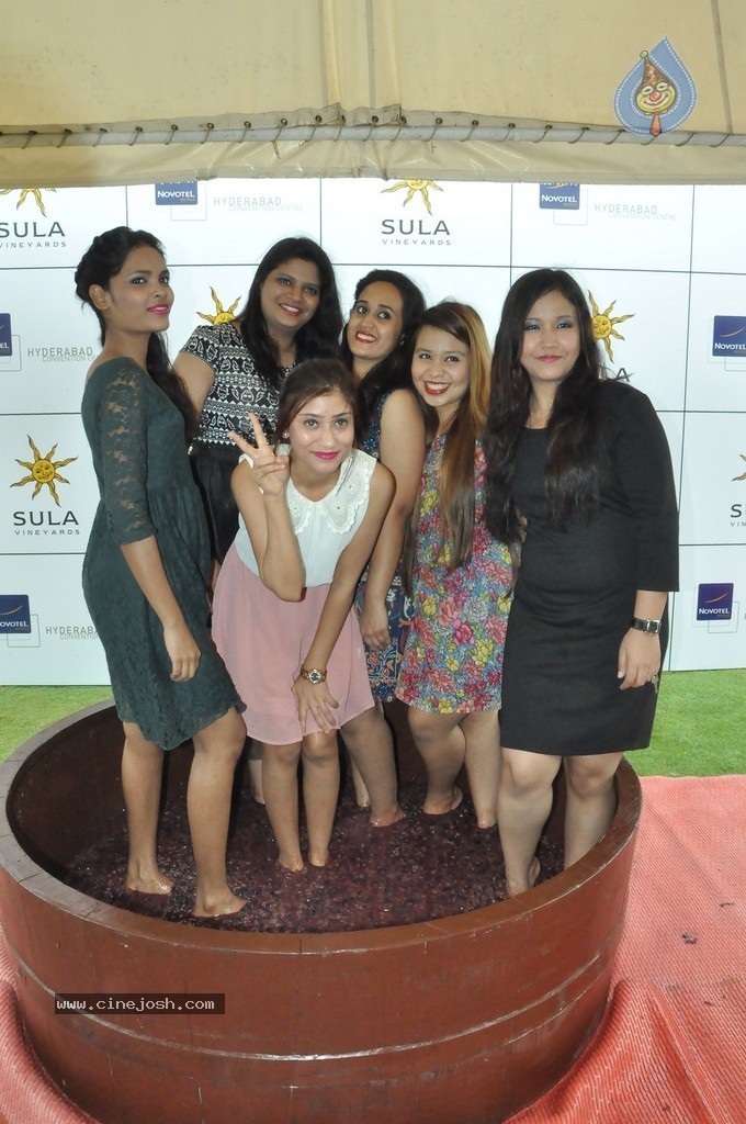 Grape Stomping Brunch Celebrations - 14 / 52 photos