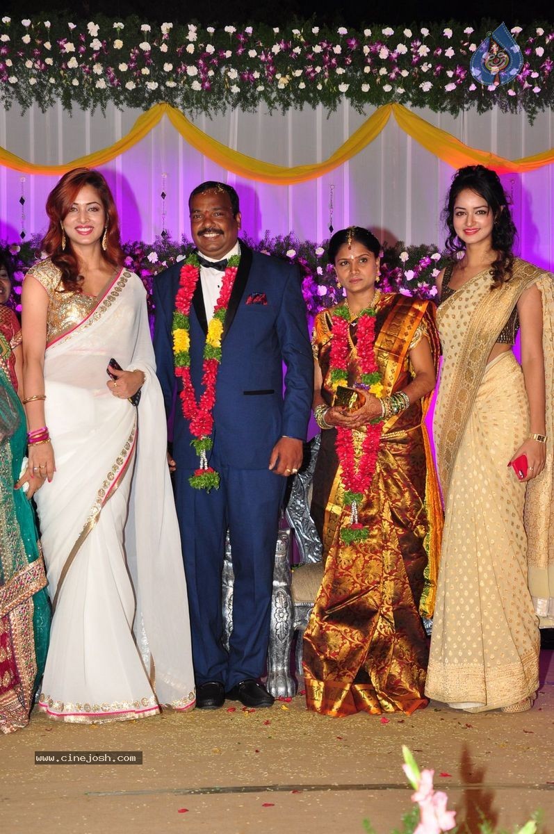 Harinath - Krishnaveni Wedding Reception - 43 / 151 photos