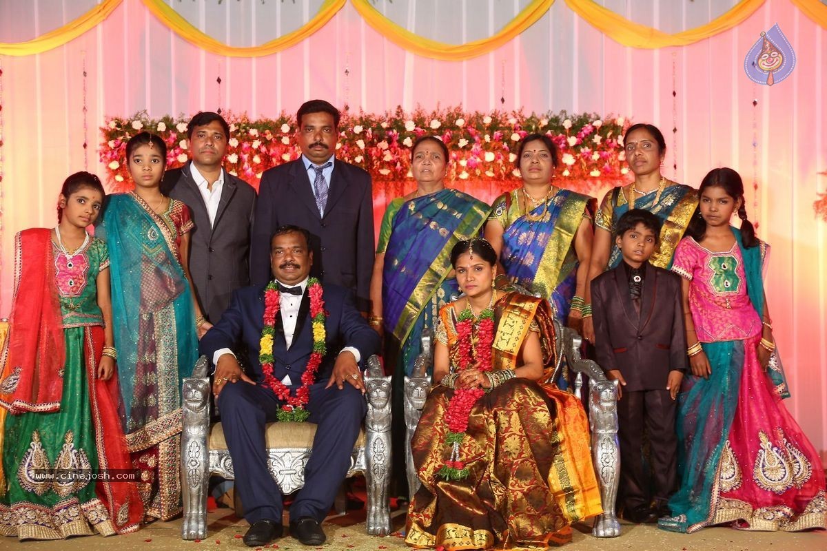 Harinath - Krishnaveni Wedding Reception - 46 / 151 photos