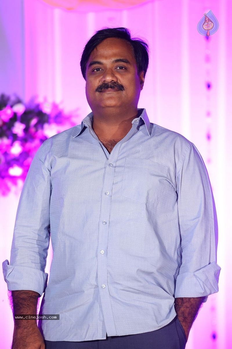 Harinath - Krishnaveni Wedding Reception - 55 / 151 photos