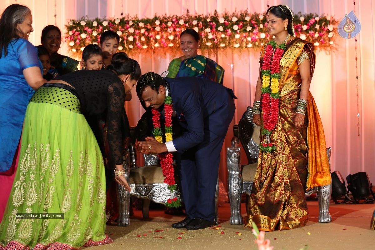 Harinath - Krishnaveni Wedding Reception - 63 / 151 photos