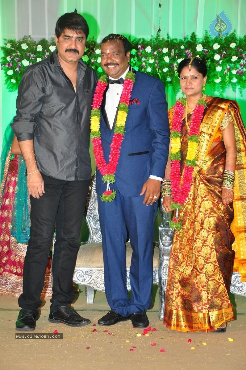 Harinath - Krishnaveni Wedding Reception - 71 / 151 photos