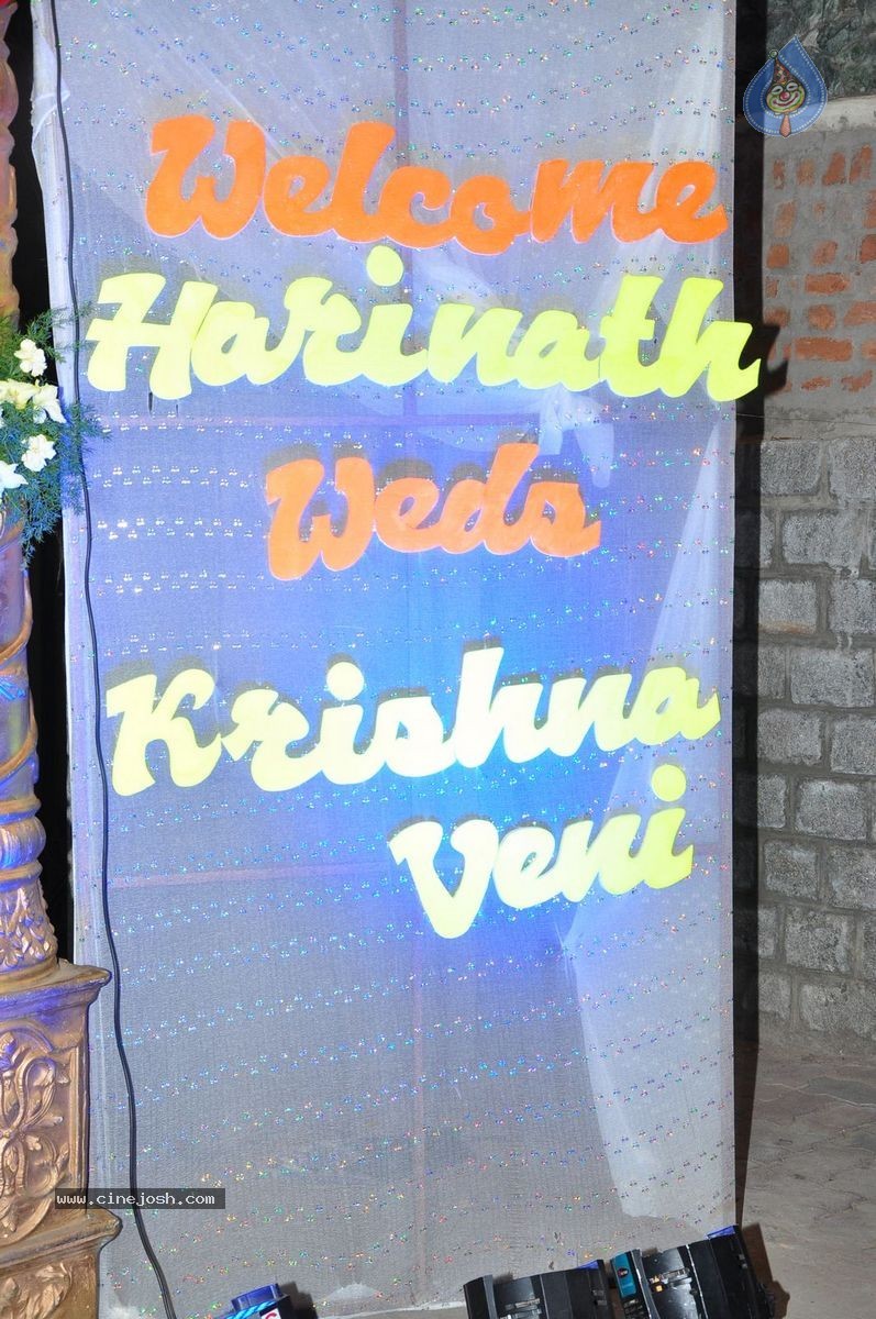 Harinath - Krishnaveni Wedding Reception - 79 / 151 photos