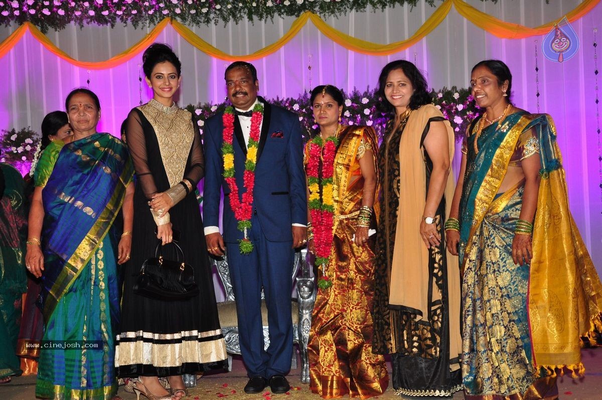 Harinath - Krishnaveni Wedding Reception - 85 / 151 photos