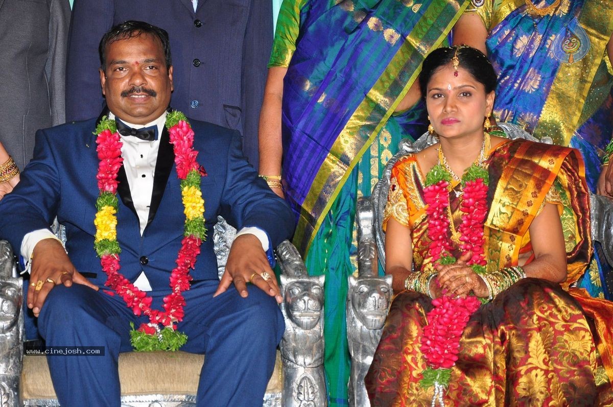 Harinath - Krishnaveni Wedding Reception - 92 / 151 photos