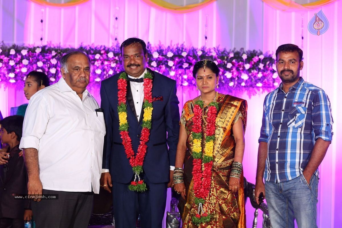 Harinath - Krishnaveni Wedding Reception - 93 / 151 photos