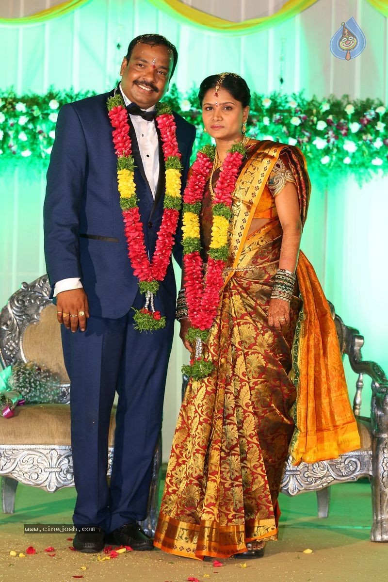 Harinath - Krishnaveni Wedding Reception - 95 / 151 photos