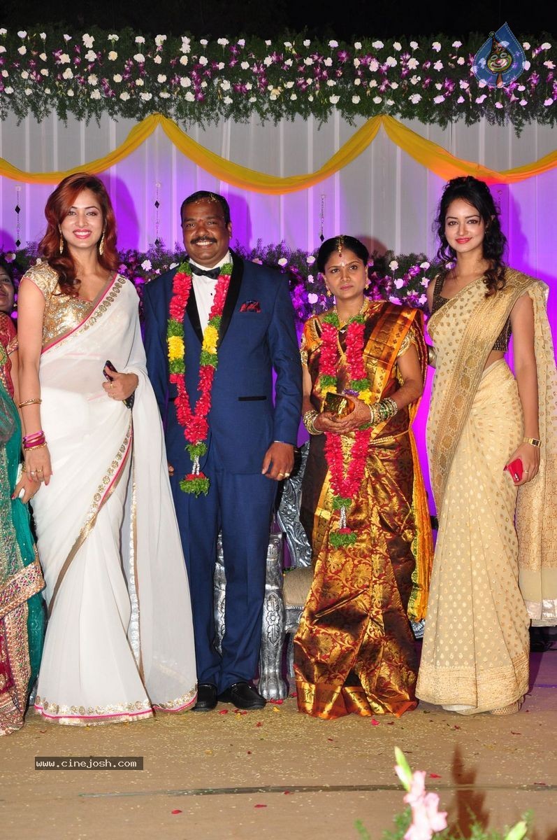 Harinath - Krishnaveni Wedding Reception - 106 / 151 photos