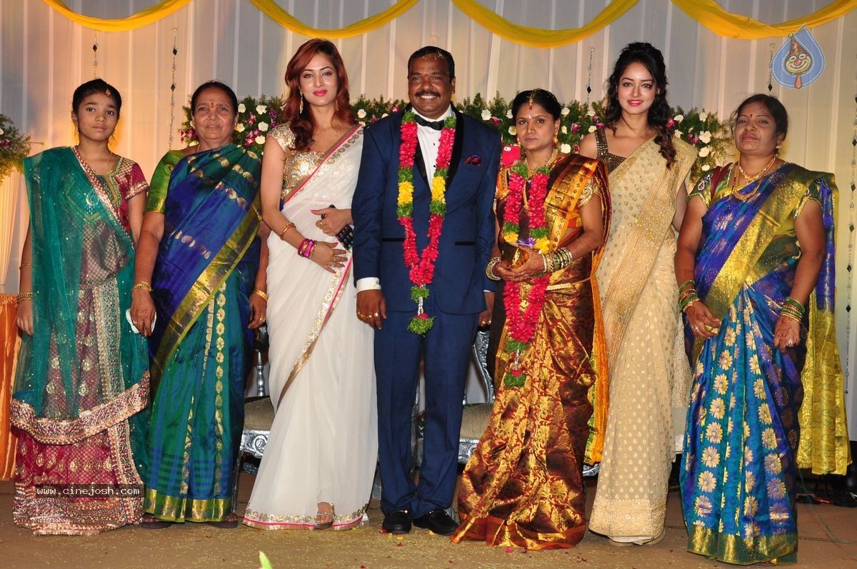 Harinath - Krishnaveni Wedding Reception - 117 / 151 photos