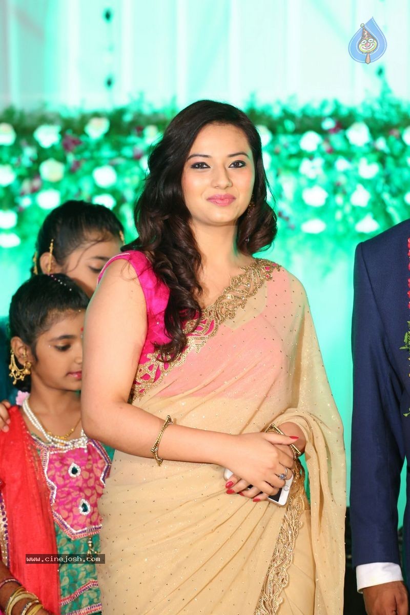 Harinath - Krishnaveni Wedding Reception - 136 / 151 photos