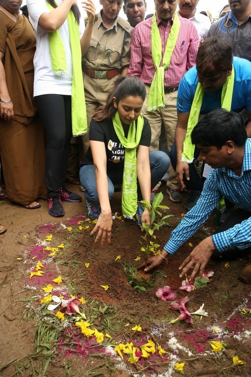 Haritha Haram Event at KBR Park - 68 / 102 photos