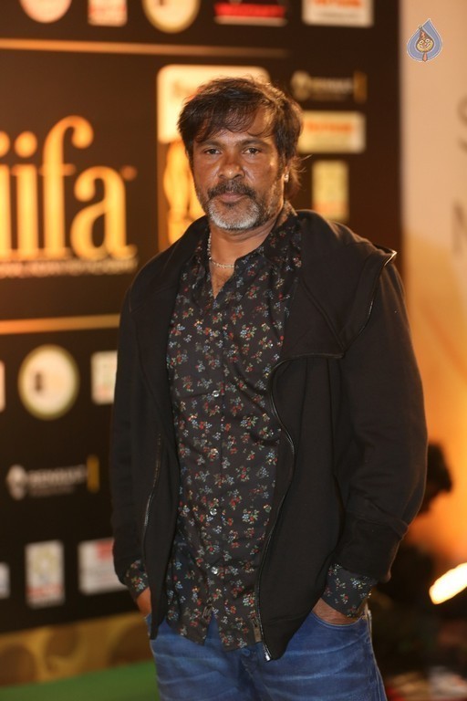 IIFA Utsavam 2016 Photos 1 - 19 / 110 photos