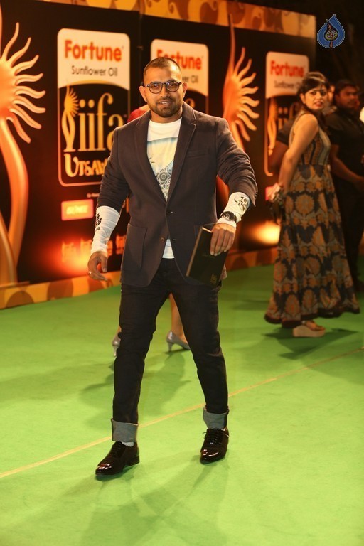 IIFA Utsavam 2016 Photos 1 - 43 / 110 photos