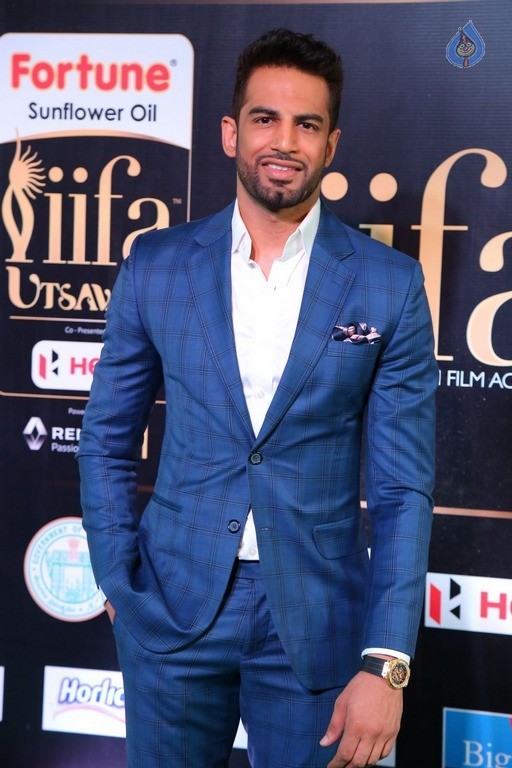 IIFA Utsavam 2017 Awards 1 (Day1) - 12 / 92 photos