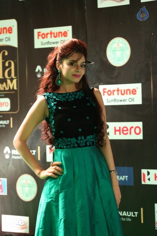 IIFA Utsavam 2017 Awards 1 (Day2) - 5 / 94 photos