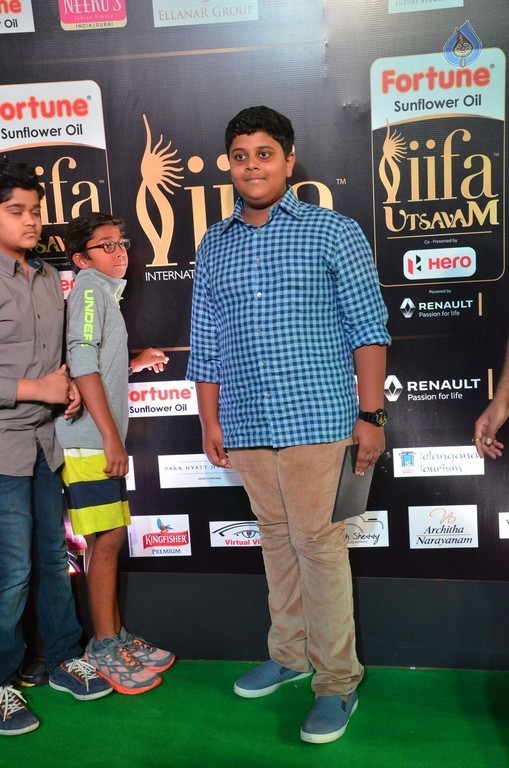 IIFA Utsavam 2017 Awards 2 (Day2) - 3 / 125 photos