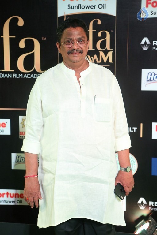 IIFA Utsavam 2017 Awards 2 (Day2) - 24 / 125 photos
