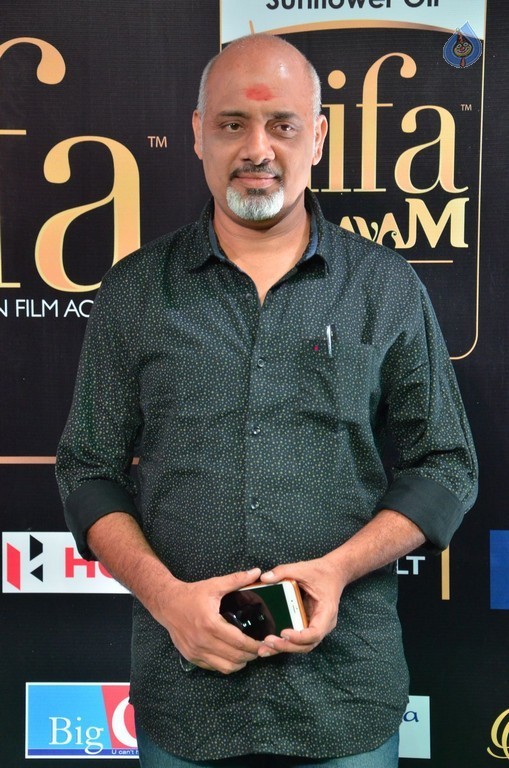 IIFA Utsavam 2017 Awards 2 (Day2) - 86 / 125 photos