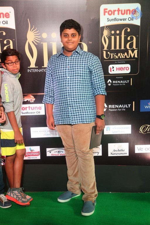 IIFA Utsavam 2017 Awards 2 (Day2) - 93 / 125 photos