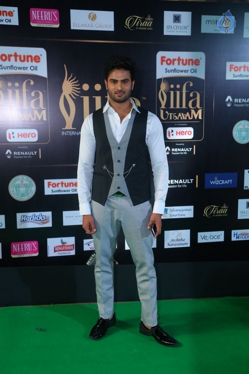IIFA Utsavam 2017 Awards 3 (Day2) - 14 / 64 photos