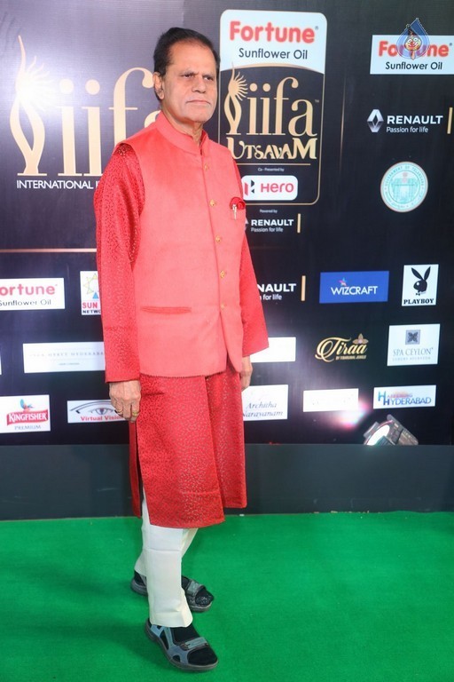 IIFA Utsavam 2017 Awards 3 (Day2) - 60 / 64 photos