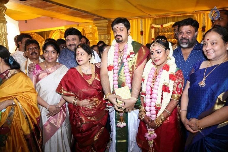 Jayachitra Son Amresh Wedding Reception - 24 / 102 photos