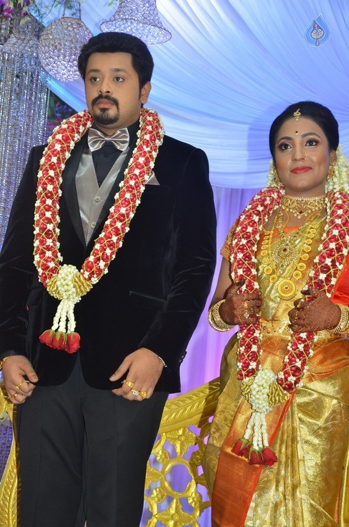 Jayachitra Son Amresh Wedding Reception - 35 / 102 photos